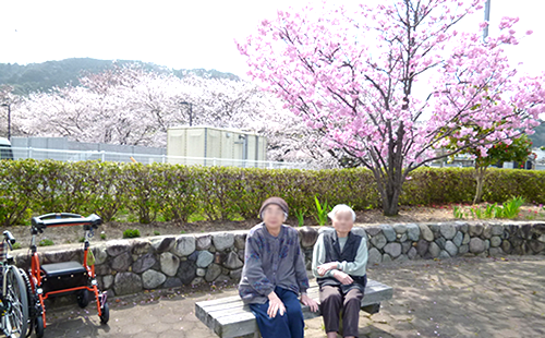 4月 桜まつり・家族懇談会 4月 桜まつり・家族懇談会